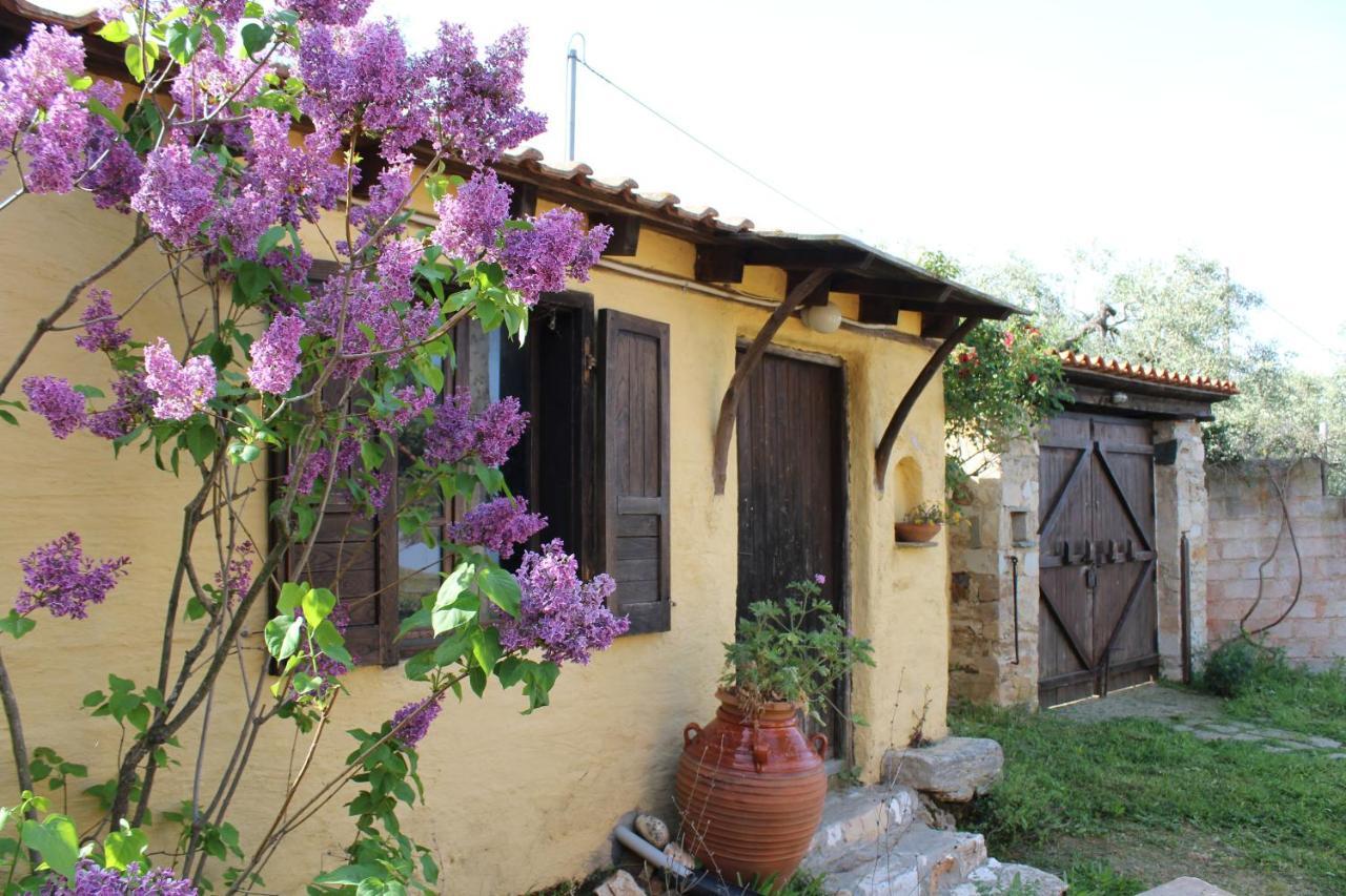 Varias Art House Kallirákhi Екстериор снимка